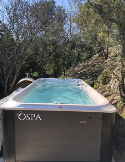 Réalisation OdeSpa : spa de nage Jacuzzi® dans les Alpilles (13)