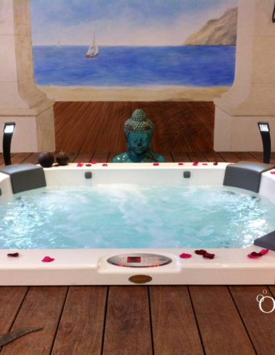 Réalisation OdeSpa : spa Jacuzzi® Delos à Pertuis (84)