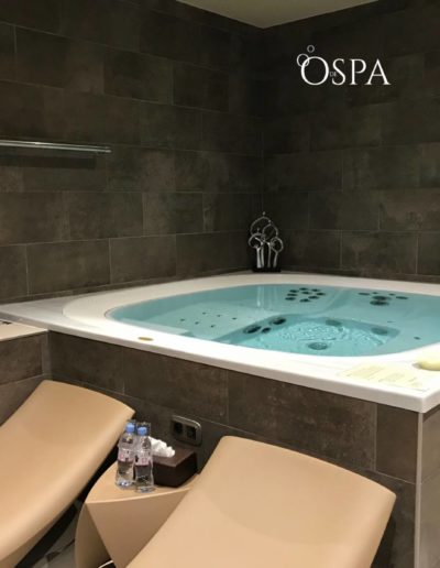 Réalisation OdeSpa : spa Jacuzzi® Enjoy à Lourmarin (84)